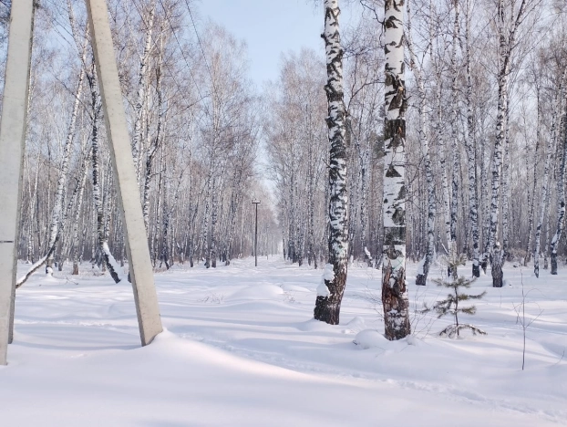 Купить земельный участок в Кемерове. Вариант № 28051, 2, площадь -  квм, цена 250000 рублей