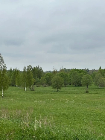 Купить земельный участок в Санкт-Петербурге. Вариант № 1917078, 0, площадь -  квм, цена 2400000 рублей