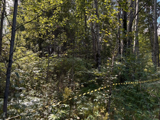 Купить земельный участок в Тобольске. Вариант № 1750903, 6, площадь -  квм, цена 2000000 рублей