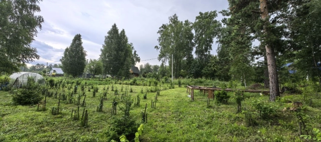 Купить земельный участок в Искитиме. Вариант № 19506, 37, площадь -  квм, цена 3430000 рублей