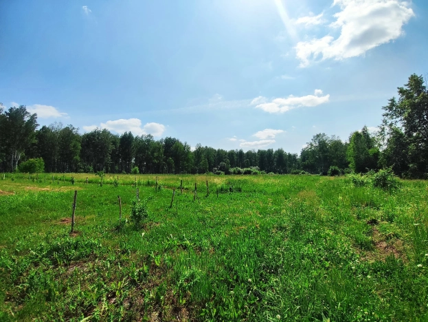 Купить земельный участок в Тюменской области. Вариант № 52255, 0, площадь -  квм, цена 280000 рублей