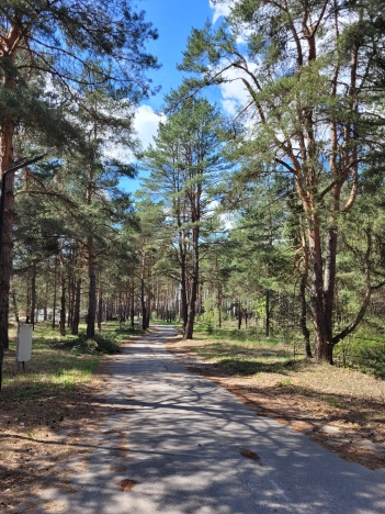 Купить земельный участок на улице 1-й Авиационный проезд в Рязани. Вариант № 2529030, 1, площадь -  квм, цена 6227100 рублей