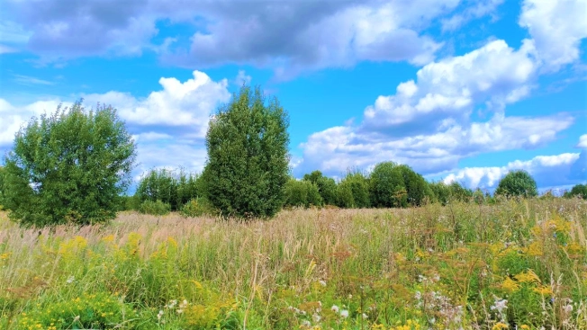 Купить земельный участок в Владимире. Вариант № 221397, 4, площадь -  квм, цена 200000 рублей