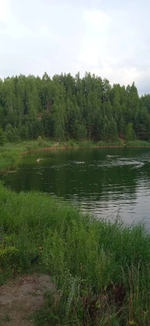 Купить земельный участок на улице Песочная в Ивановской области. Вариант № 10613, 6, площадь -  квм, цена 650000 рублей