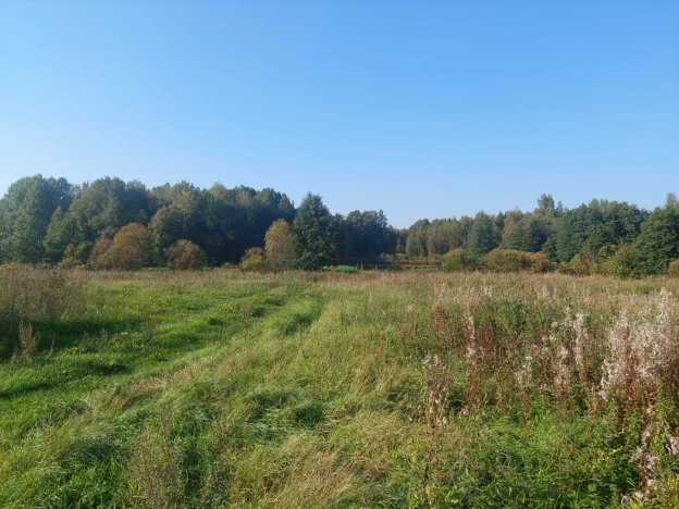 Купить земельный участок в Республике Карелия. Вариант № 2179562, 1, площадь -  квм, цена 7000000 рублей