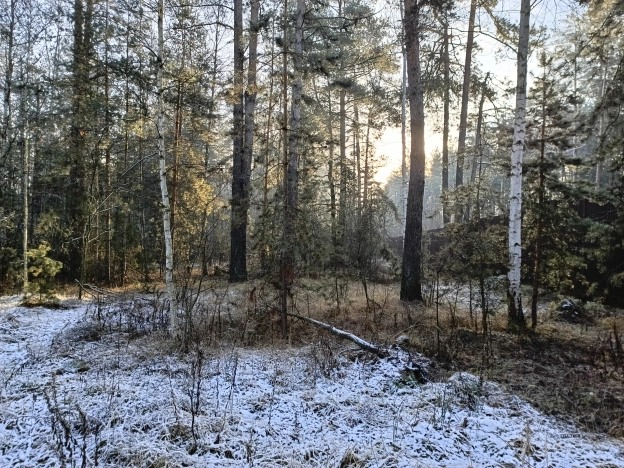 Купить земельный участок в Рязани. Вариант № 9587916, 2, площадь -  квм, цена 1990000 рублей