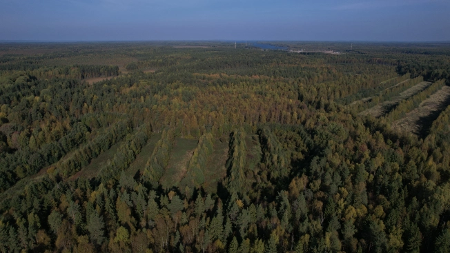 Купить земельный участок в Республике Карелия. Вариант № 13851, 20, площадь -  квм, цена 6000000 рублей