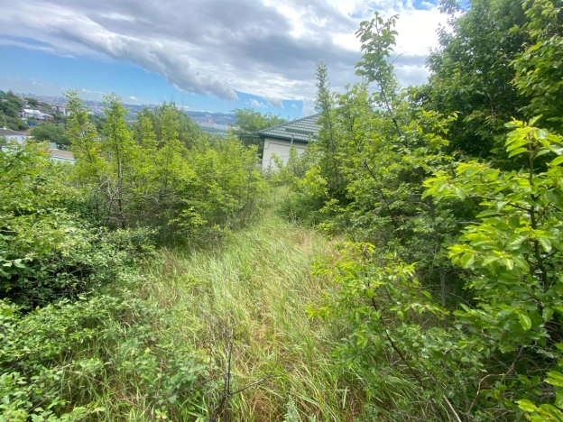 Купить земельный участок на улице Центральная в Новороссийске. Вариант № 8054, 0, площадь -  квм, цена 2200000 рублей