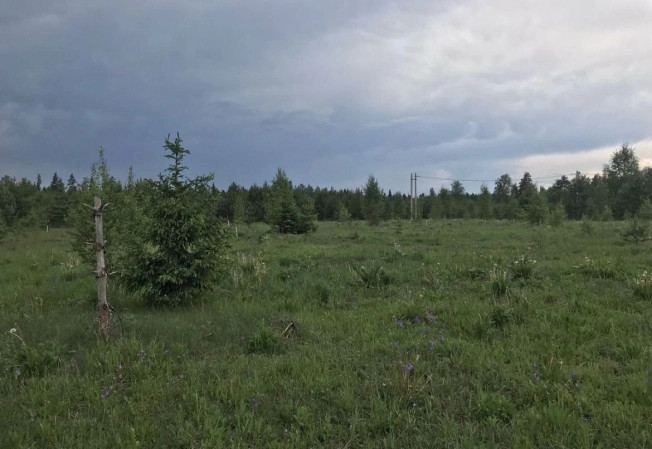 Купить земельный участок в Иванове. Вариант № 38333, 2, площадь -  квм, цена 950000 рублей