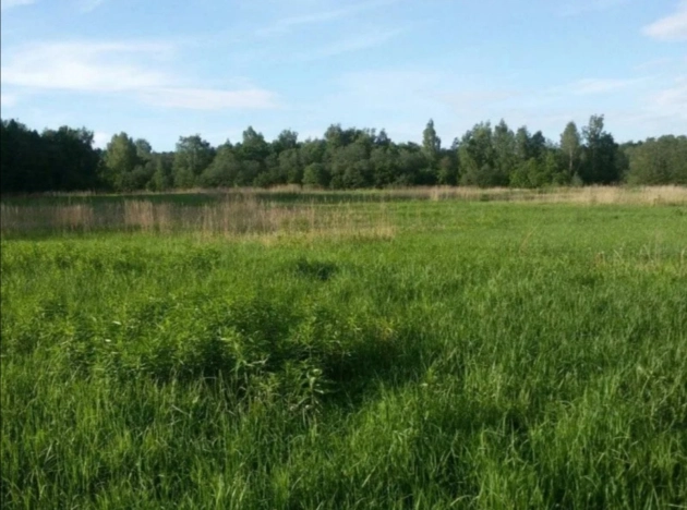 Купить земельный участок на улице Загородная в Ярославской области. Вариант № 15254, 8, площадь -  квм, цена 500000 рублей