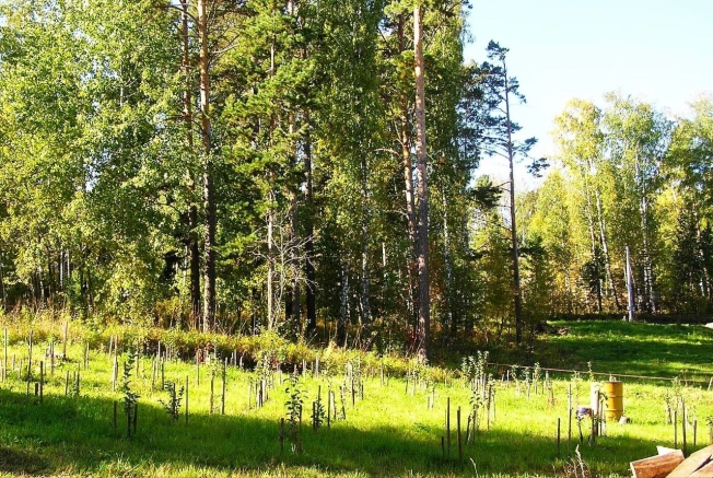 Купить земельный участок в Искитиме. Вариант № 19506, 27, площадь -  квм, цена 3430000 рублей