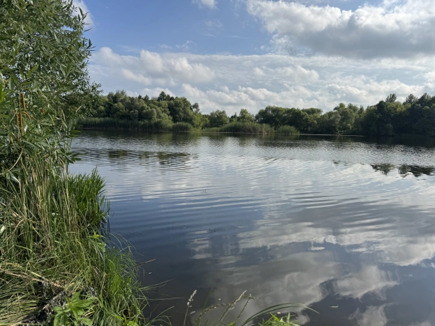 Купить земельный участок в Пензе. Вариант № 241333, 7, площадь -  квм, цена 4500000 рублей