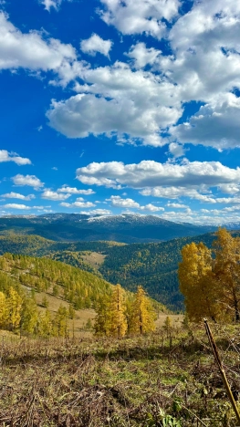 Купить земельный участок на улице Яминская в Алтайском крае. Вариант № 20735, 3, площадь -  квм, цена 6800000 рублей