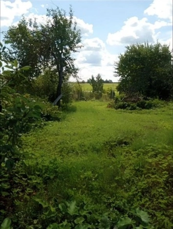 Купить земельный участок в Москве. Вариант № 52869, 9, площадь -  квм, цена 15000000 рублей