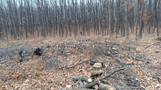 Купить земельный участок в Арсеньеве. Вариант № 1296890, 0, площадь -  квм, цена 2450000 рублей