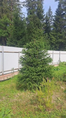 Купить дом в Санкт-Петербурге. Вариант № 2672366, 32, площадь -  квм, цена 16355000 рублей