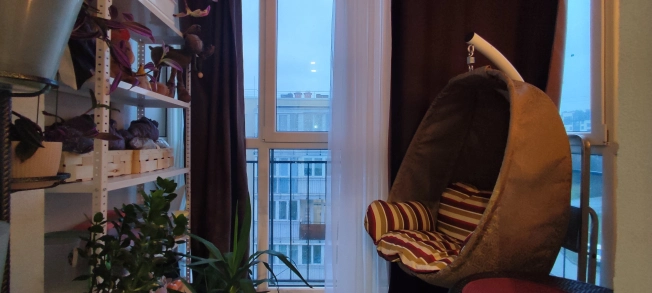 Купить Студию в Калининграде. Вариант № 4155, 7, площадь -  квм, цена 4650000 рублей