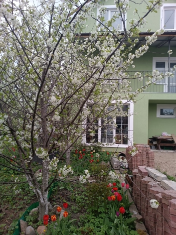 Купить дом на улице Владимирский переулок в Гурьевске. Вариант № 39465, 4, площадь -  квм, цена 8999999 рублей