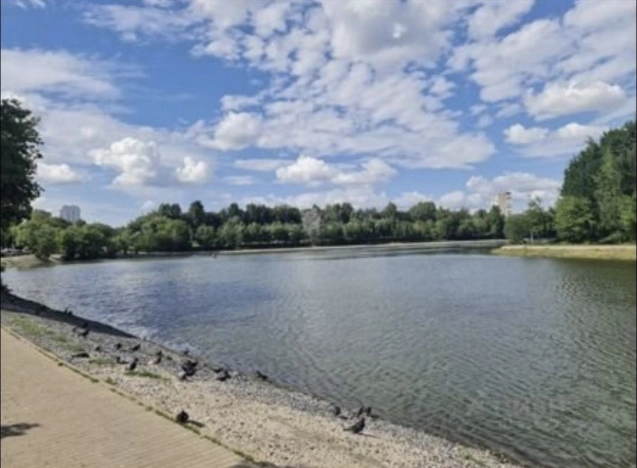 Купить квартиру в районе Солнцево в Москве. Вариант № 1740090, 25, площадь - квм, цена 29500000.0000 рублей