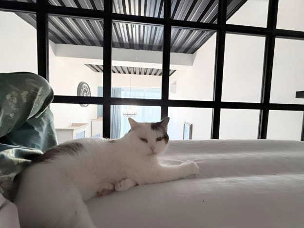 Купить Студию в районе Останкинский в Москве. Вариант № 7655769, 0, площадь -  квм, цена 10499000 рублей