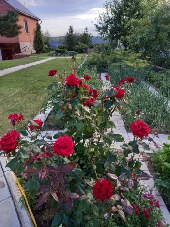 Купить дом в Омске. Вариант № 42670, 7, площадь -  квм, цена 13999999 рублей