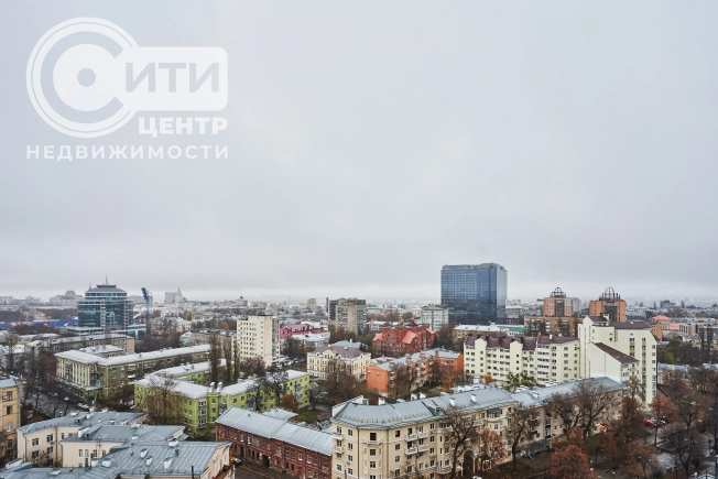 Купить однокомнатную квартиру в Воронеже. Вариант № 1323319, 1, площадь - квм, цена 16000000 рублей