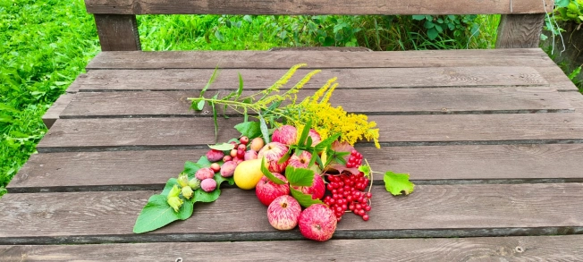 Купить дачу в Ярославской области. Вариант № 35377, 0, площадь -  квм, цена 2700000 рублей