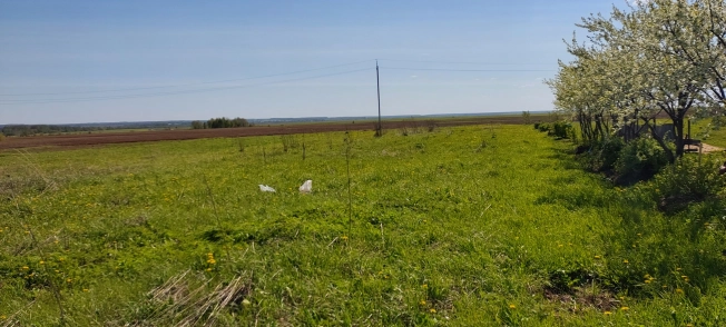 Купить земельный участок в Нижегородской области. Вариант № 30498, 0, площадь -  квм, цена 2500000 рублей