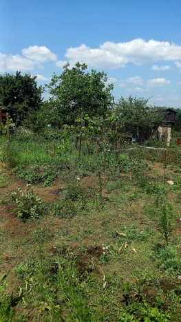 Купить дачу в Белгородской области. Вариант № 1641528, 7, площадь -  квм, цена 400000 рублей