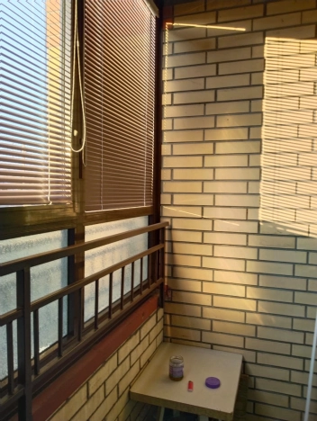 Купить двухкомнатную квартиру в районе Заельцовский в Новосибирске. Вариант № 8095307, 14, площадь -  квм, цена 6990000 рублей