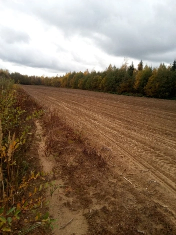 Купить земельный участок в Республике Карелия. Вариант № 20678, 1, площадь -  квм, цена 7500000 рублей