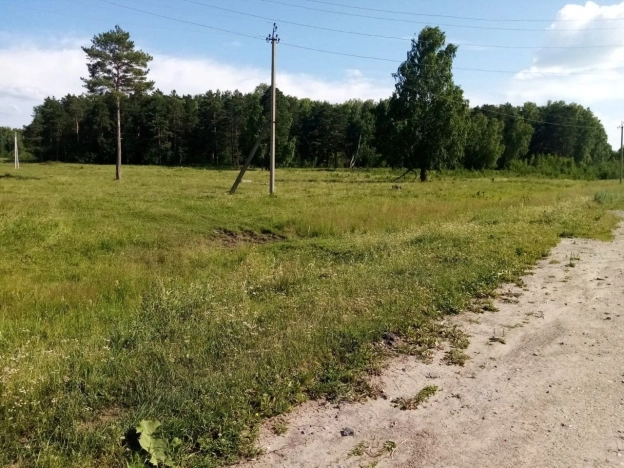 Купить земельный участок в Новосибирске. Вариант № 58771, 0, площадь -  квм, цена 230000 рублей