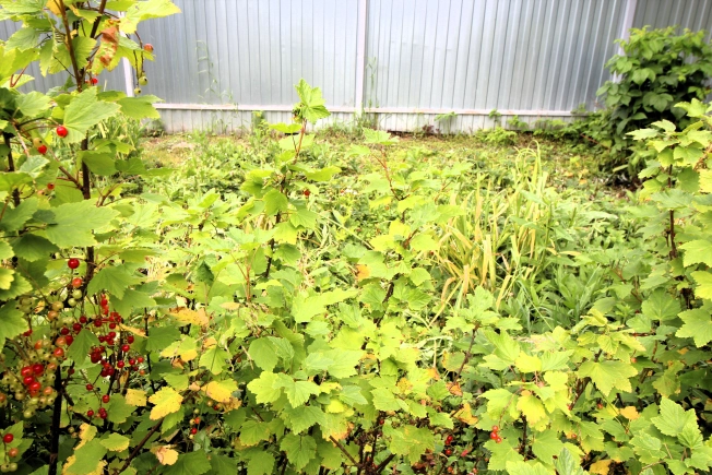 Купить земельный участок в Тульской области. Вариант № 12148, 9, площадь -  квм, цена 1599990 рублей