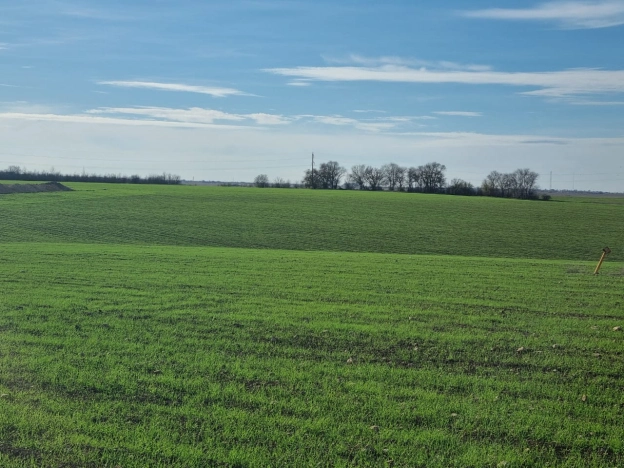 Купить земельный участок в Республике Крым. Вариант № 9565201, 15, площадь -  квм, цена 310000 рублей