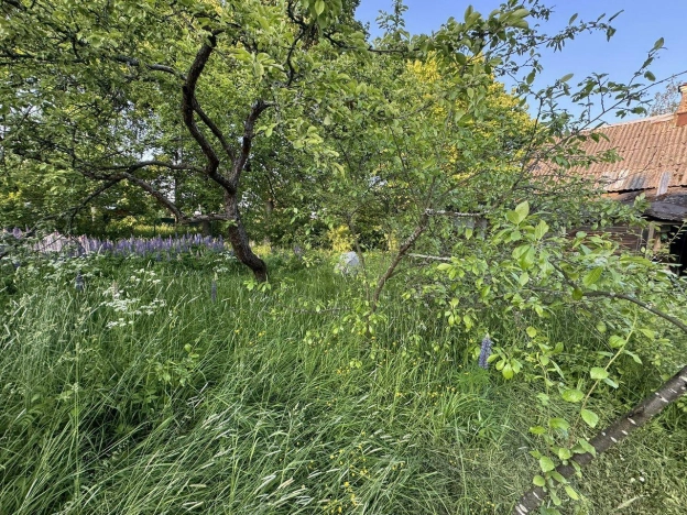 Купить земельный участок в Санкт-Петербурге. Вариант № 2012012, 5, площадь -  квм, цена 6975000 рублей