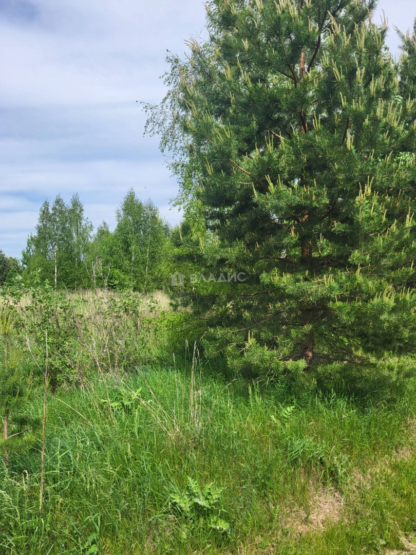 Photo https://36000382-a1c2-4a8a-a109-3fc3bfc73cf7.selcdn.net/App/Entity/ObjectRealty/ObjectRealty/RB/6e6f4cc7-6e1b-4b81-a2b7-fbb86ebd27ff/TpG9NJs3ZGohMcw9eJHP4FAE2y8IdtA5sywH2nsU.jpg.compressed.webp