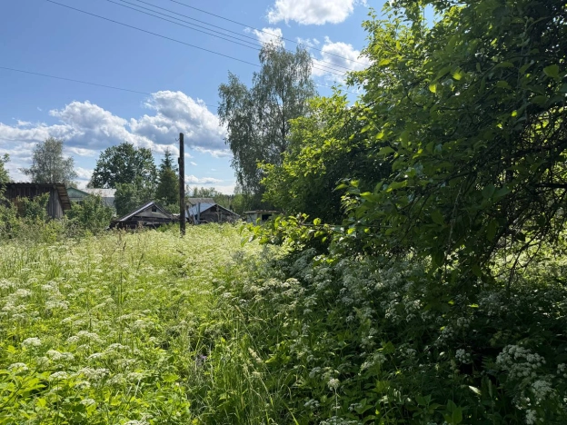 Купить земельный участок у метро Рыбацкое в Ленинградской области. Вариант № 2167789, 8, площадь -  квм, цена 5000000 рублей