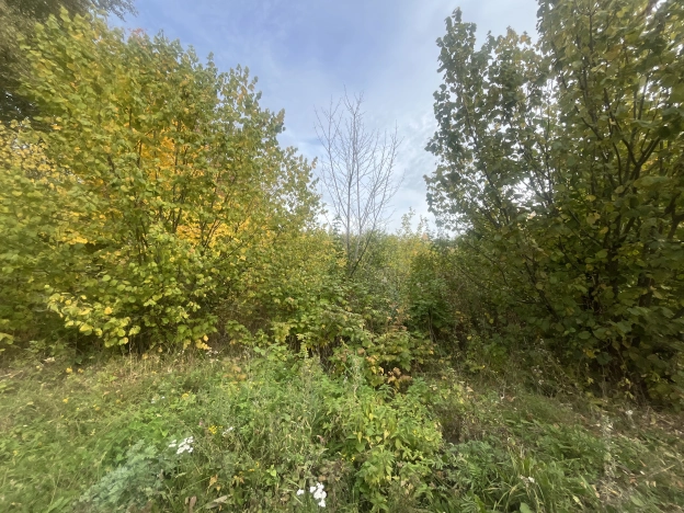 Купить земельный участок в Пензе. Вариант № 5339852, 1, площадь -  квм, цена 1650000 рублей