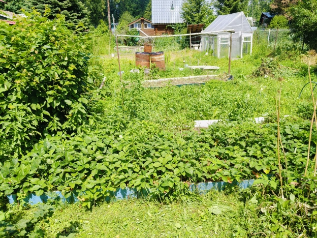 Купить земельный участок в Искитиме. Вариант № 3064470, 1, площадь -  квм, цена 400000 рублей