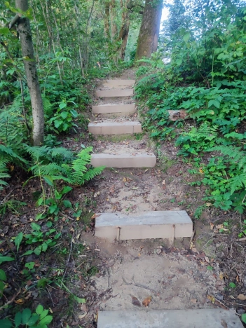 Купить дачу в Москве. Вариант № 7645049, 16, площадь -  квм, цена 4200000 рублей