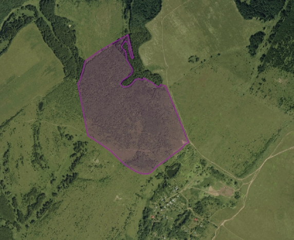 Купить земельный участок в Нижегородской области. Вариант № 33864, 6, площадь -  квм, цена 3300000 рублей