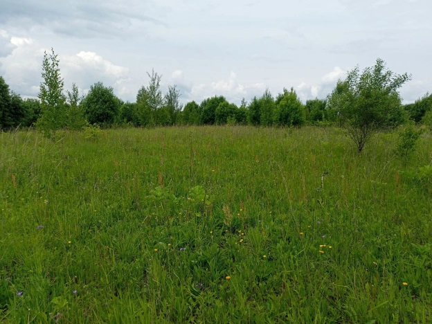 Купить земельный участок в Нижегородской области. Вариант № 33864, 0, площадь -  квм, цена 3300000 рублей