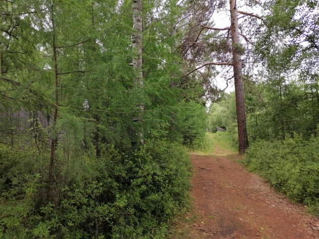 Купить земельный участок в Иркутской области. Вариант № 7237, 6, площадь - квм, цена 1000000 рублей