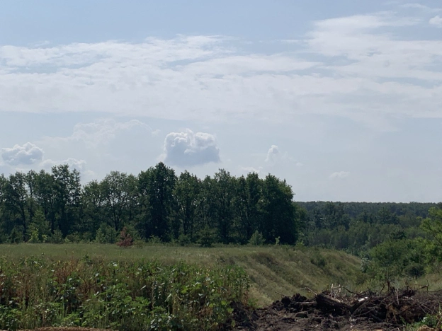 Купить дом в Воронеже. Вариант № 335610, 20, площадь -  квм, цена 8000000 рублей