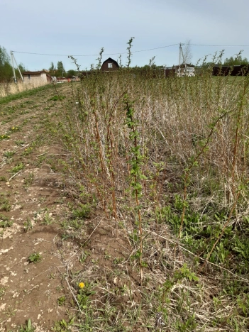 Купить земельный участок в Москве. Вариант № 2268, 11, площадь -  квм, цена 950000 рублей