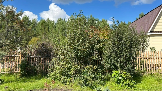 Купить земельный участок в Тюменской области. Вариант № 3904804, 35, площадь -  квм, цена 1500000 рублей