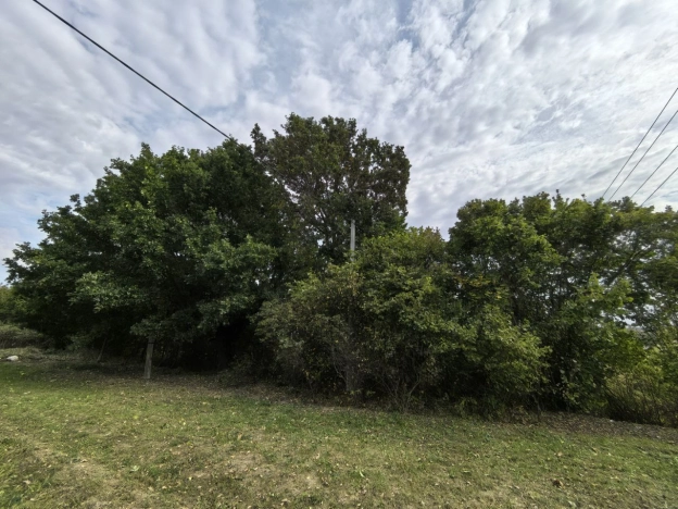 Купить земельный участок в Тульской области. Вариант № 13537, 3, площадь -  квм, цена 465000 рублей