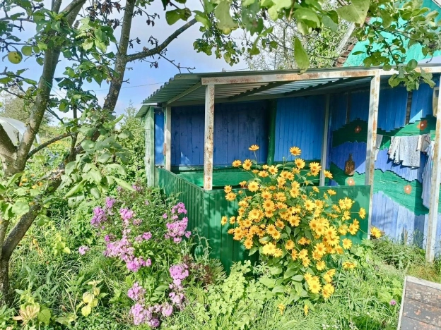 Купить дачу в Луховицах. Вариант № 9166057, 0, площадь -  квм, цена 350000 рублей