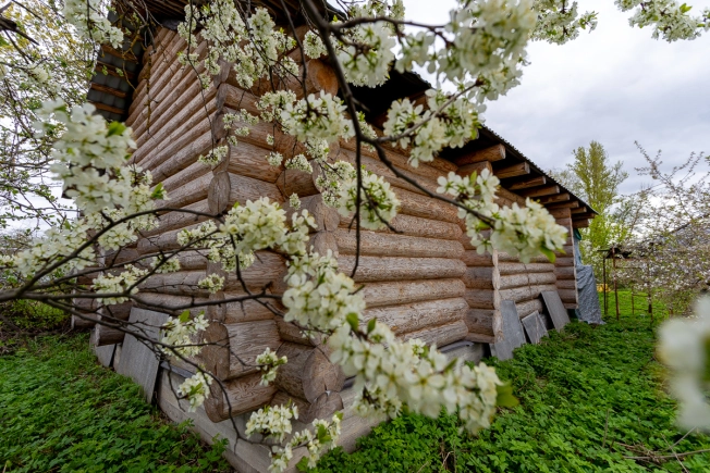 Купить дом в Лакинске. Вариант № 39353, 26, площадь -  квм, цена 10250000 рублей