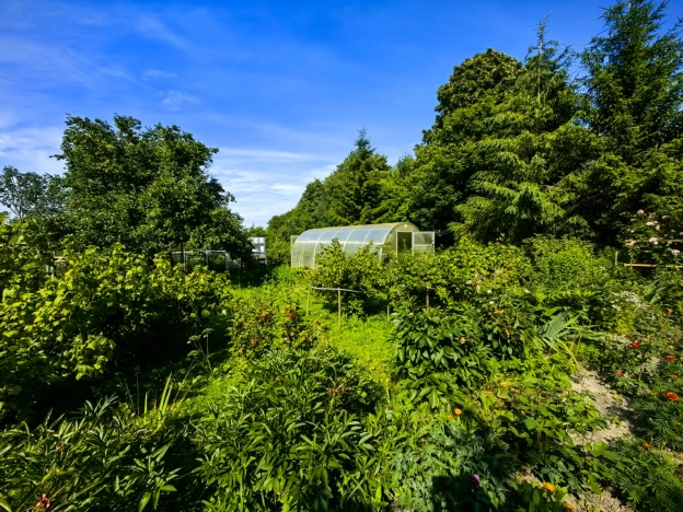 Купить дом в Зеленоградске. Вариант № 203767, 15, площадь -  квм, цена 10050000 рублей